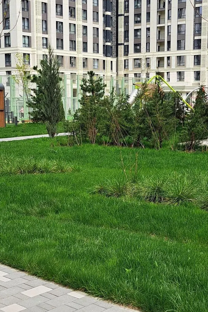 Amir, A Residential Complex Apartment Almaty